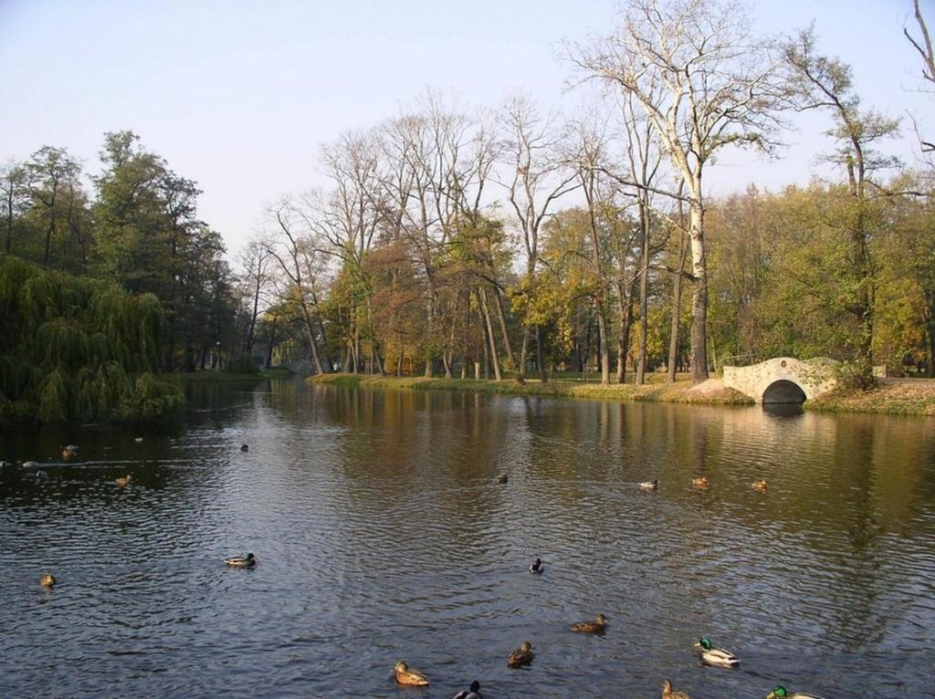 Comfortbiznes Pruszków Exteriér fotografie